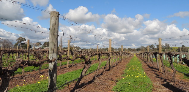 Free tastings a Swan Valley