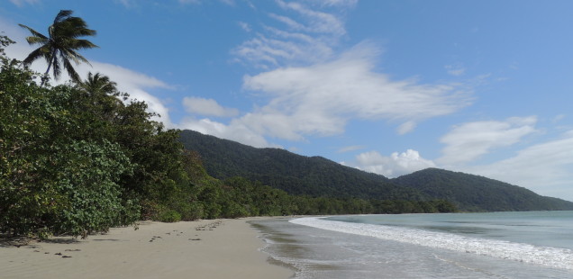 Daintree National Park